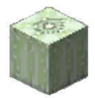 Urchin Lantern